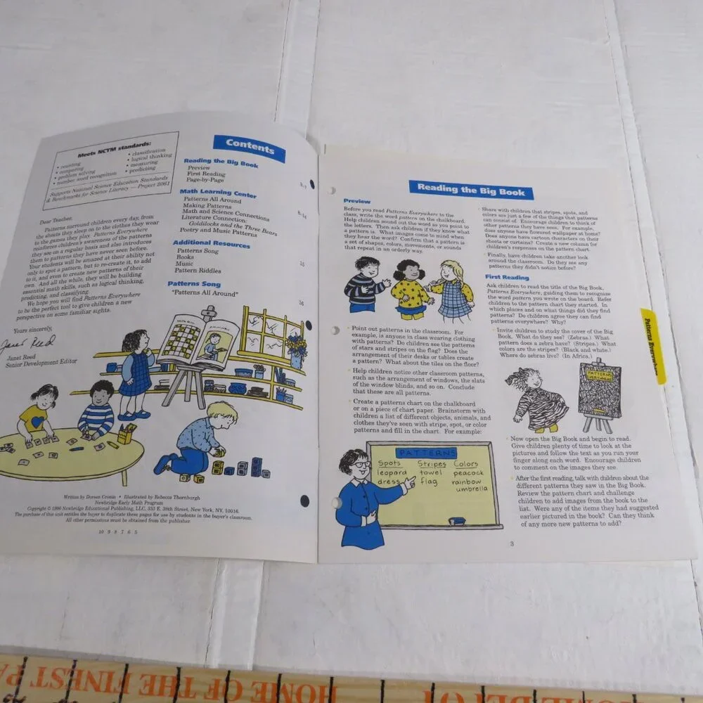 Patterns Everywhere BIG BOOK (almost 2 feet tall) with teacher pages CLASSROOM